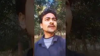 #shorts​ #viralvideo​ #trending​  #shorts​ #video​ #YouTube​ #search​ #shorts​ #feed #viralreels