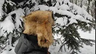 Winter hat coyote fur