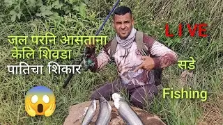 #जल परनि आसताना केलि शिवडा पाति वालुगूटू  पढनि लाचि बरारी माशाचि शिकार ऊल्हसनदीवर#fishing #minivlog#