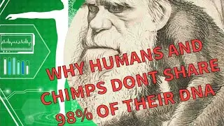 THE OXGOAD| Why we don&rsquo;t share 98% DNA with chimps