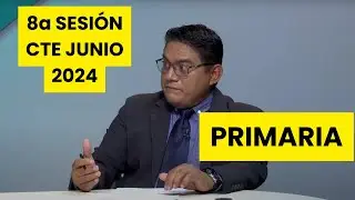 Experiencias Docentes apropiación del Plan y Programas de estudio Educación Primaria CTE Junio 2024