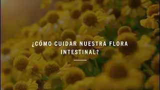 &iquest;C&oacute;mo cuidar la flora intestinal? Aspectos fundamentales sobre probi&oacute;ticos y microbiota