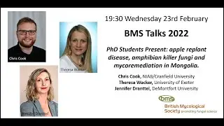 BMS Talks: Chris, Theresa & Jennifer- Apple replant disease, amphibian killer fungi, mycoremediation