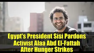 Egypt's President Sisi Pardons Activist Alaa Abd El-Fattah After Hunger Strikes