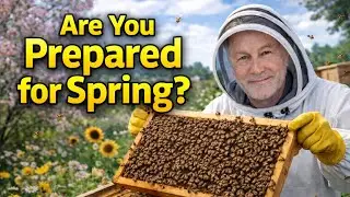 Beekeeping: Essential Steps Before Spring Begins