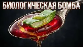 БИОЛОГИЧЕСКАЯ БОМБА . Мощнее антибиотиков