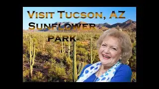 Come Visit Tucson, AZ Continental Ranch Sunflower Park :-)