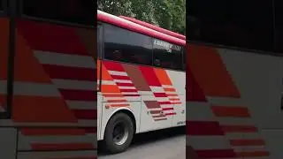 EKA Patas