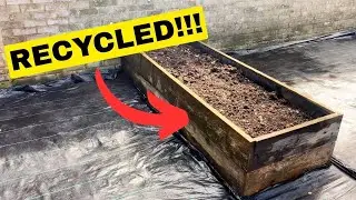 I Made A RAISED BED Out Of Old Scaffold Boards!