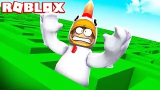 IL LABIRINTO PIÙ GRANDE DI ROBLOX!!
