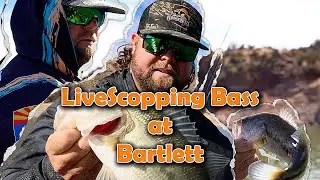 LiveScope Fishing Secrets! Catching Bass at Bartlett Lake With the A Rig