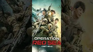 operation Red sea Sundays are for military movies 🔥#2024