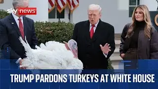 Donald Trump pardons turkeys at the White House