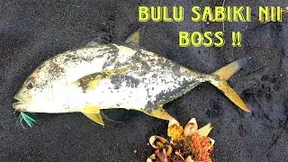 Shore jigging pakai umpan bulu sabiki ?! Langsung amis !
