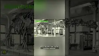What were the Bone Wars?