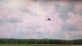 As God is my witness, I thought Turkeys could fly!