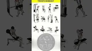 Triceps Explosion: The Blueprint for Big Arms 💪
