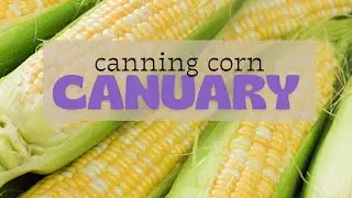 CANUARY - canning corn