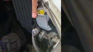 Cambiar bombilla Xen&oacute;n T4- D4S 6000&deg;K Toyota RAV4 2015