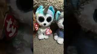 Ty dog collection!!!🤩🐶🐕‍🦺🦮🐩🐕😍