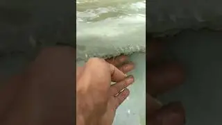 kolam ikan sederhana #kolamikan