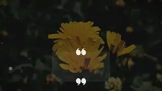 Quiet Purpose | A Cinematic Bee Moment 