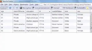 ADC Presents - Using Flex with Java