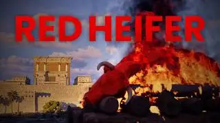 How a Red Heifer Could Trigger the Second Coming of Jesus