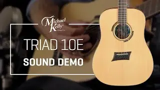 12 String Alternative Demo - Michael Kelly Triad 10 String