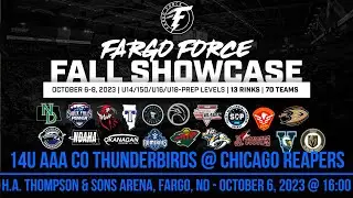 2023/10/6 - 14U AAA CO Thunderbirds @ Chicago Reapers 4:5 L (SO)