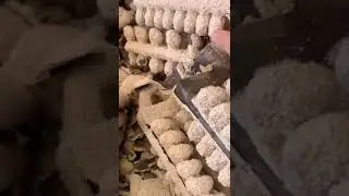 Mullite