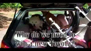 Pets with Disabilities - 100 cars for good promo
