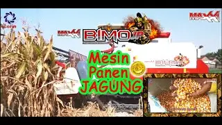MAXXI Bimo JP - Mesin Panen Jagung #combineharvester #pertanian #alsintan #maxxibimo #petani #panen