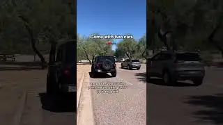 Wild horses and paddleboarding in Phoenix, Arizona