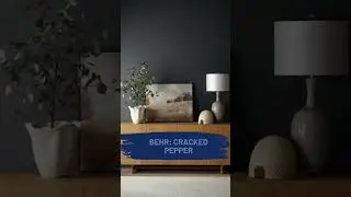 Paint Trends for 2024