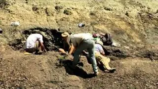 Хелл-Крик и поиски трицератопса