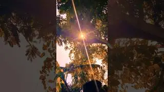 new morning status #tamil#tamilsong#music #music#bjp#nda#ntaexam#narendramodi  #kanganaranaut#music