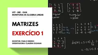 DETERMINANTE POR OPERAÇÕES ELEMENTARES (TRIANGULAÇÃO)