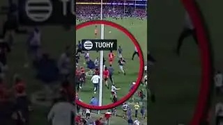 Zach Tuohy decks a fan | Buddy's 1000th #shorts #AFL