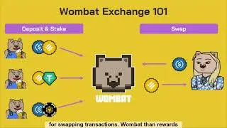 Wombat Exchange & The #WomWars Narrative