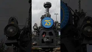 75 year anniversary of the Balatonfenyves narrow gauge line #train #narrowgauge #tiecam