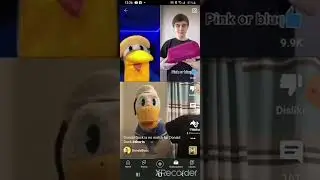 DonaldDucc but Donald yells 