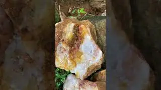 White Quartz Inside Red Rock! What a Stunning Contrast