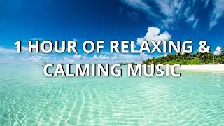 1 HOUR OF RELAXING MUSIC AND BEAUTIFUL LANDSCAPES 🎶🌿