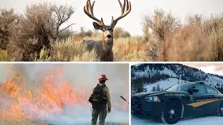 AROUND WYOMING: Fatal Crash, Mule Deer Investigation and Prescribed Burn!