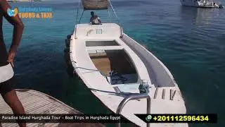 Makadi Bay Speedboat Rental to Dolphin House & Paradise Island | with Tickets, Snorkeling