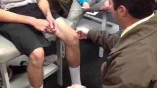 Patella, Tendons, & Groove