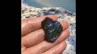 What Is Ammolite? Discover Canada's Rare Rainbow Gemstone #crystals #fossil #gemstone #ammolite
