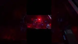 ws2811 LED strip creates a unique bar atmosphere