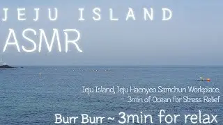 Jeju Island, Jeju Haenyeo Samchun Workplace. -&nbsp; 3min of Ocean for Stress Relief